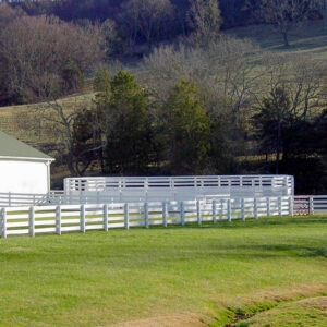 Image 008
