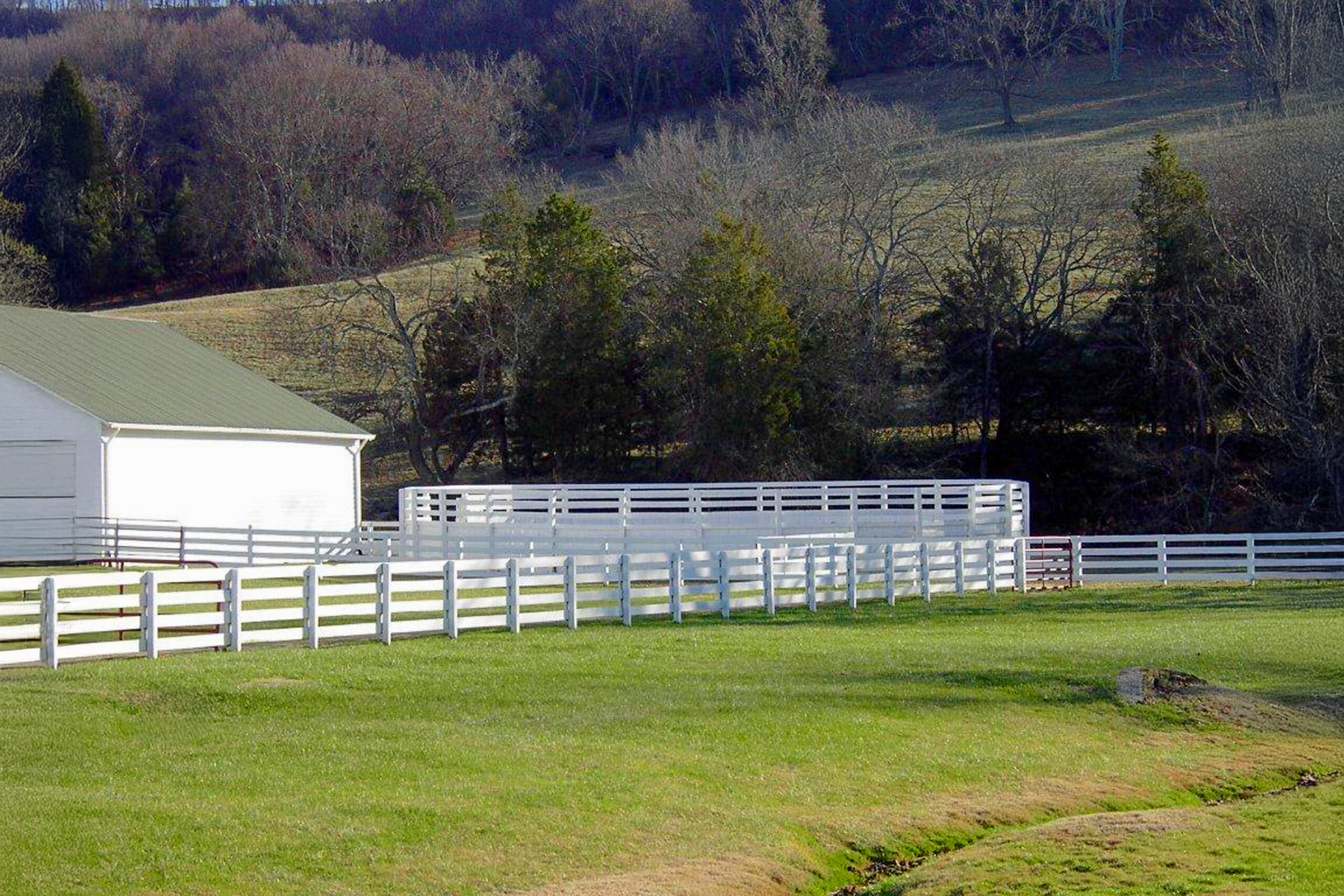 Image 008