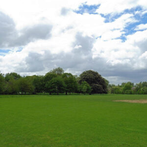Image 012