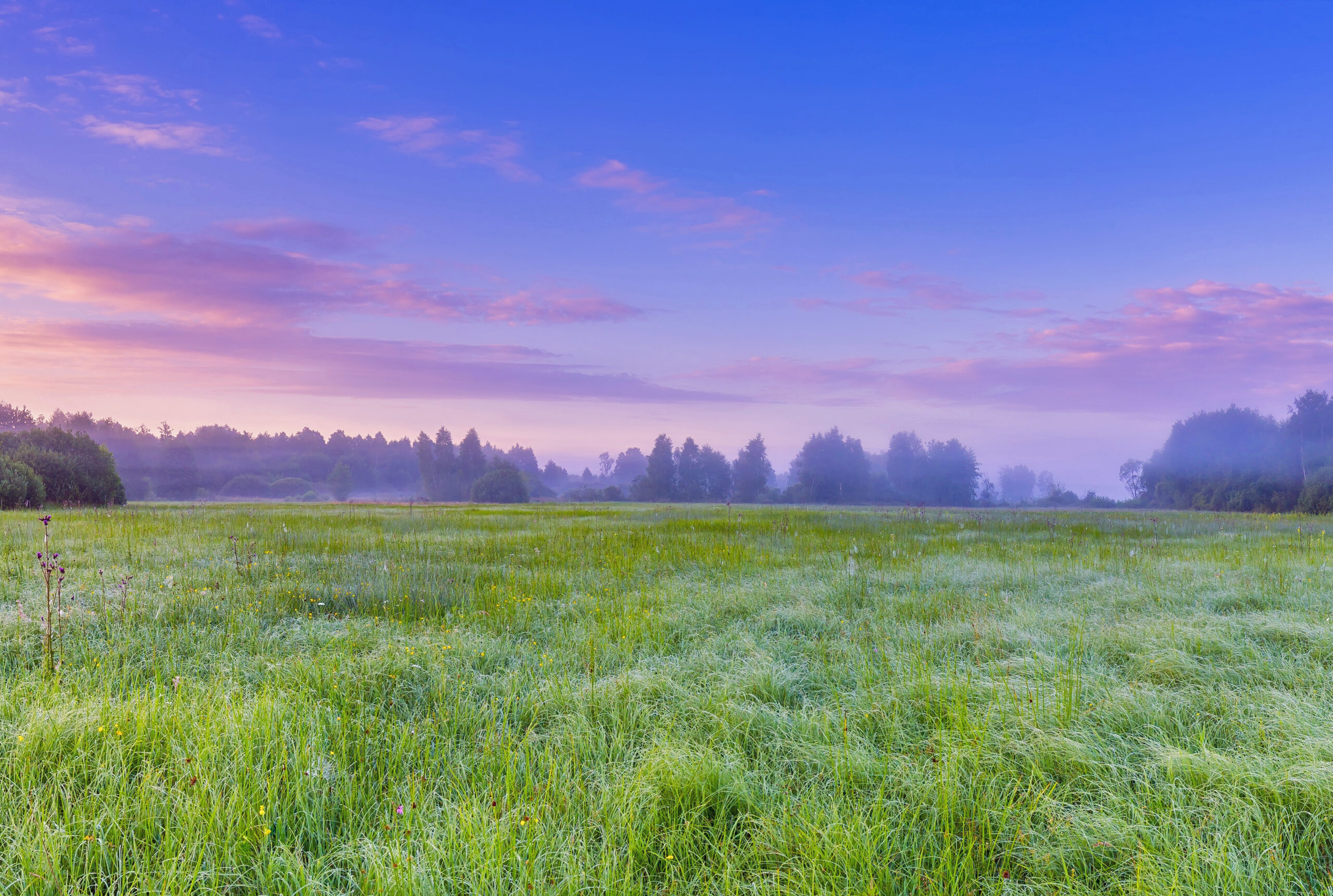 Image 126