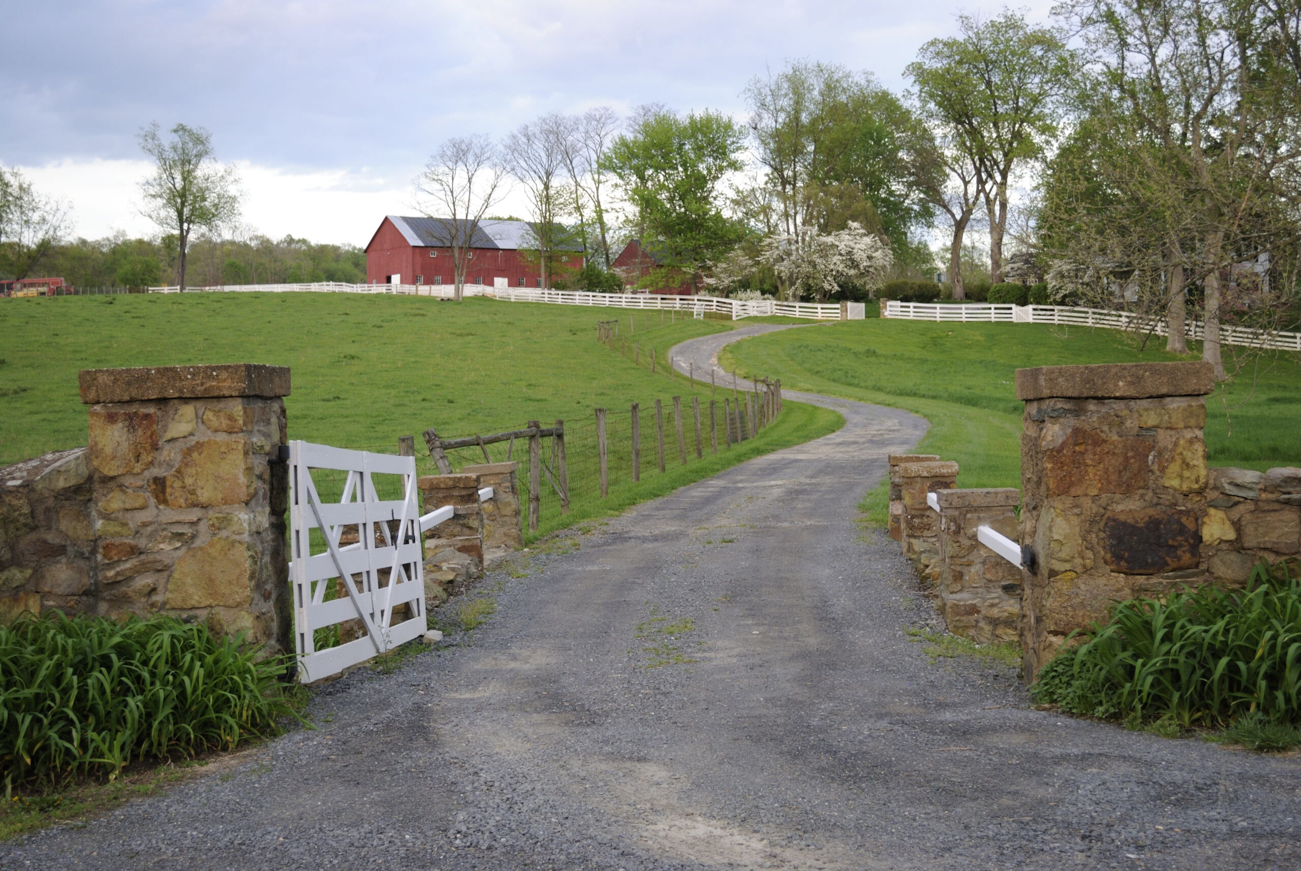 Image 147