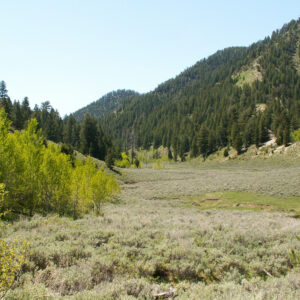 Image 018