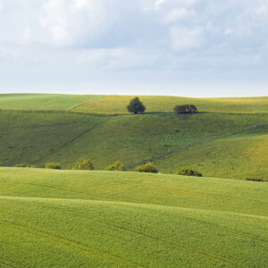 Image 033
