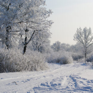 Image 043